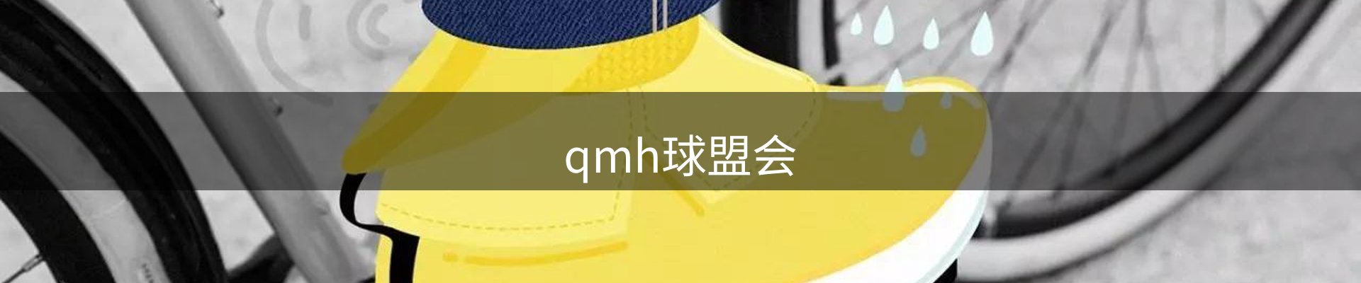 qmh球盟会